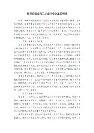 在市安委会第二次全体会议上的讲话.docx