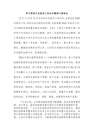乡镇党委书记学习贯彻中央经济工作会议精神心得体会汇编3份.docx