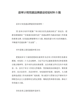 县审计局党建品牌建设经验材料5篇.docx