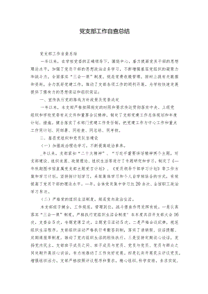 党支部工作自查总结.docx