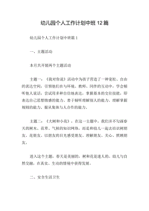 幼儿园个人工作计划中班12篇.docx