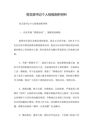 党支部书记个人检视剖析材料.docx