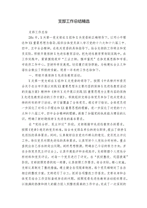 支部工作总结精选.docx