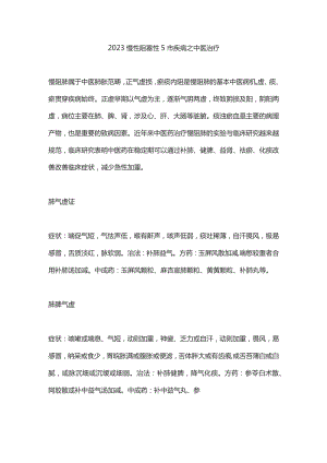 2023慢性阻塞性肺疾病之中医治疗.docx