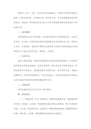 青年教师教育教学素质提升工程方案.docx