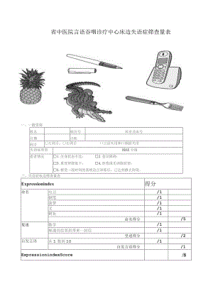 言语吞咽诊疗中心床边失语症筛查量表.docx
