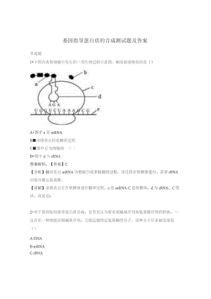 基因指导蛋白质的合成测试题及答案.docx