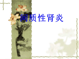 间质性肾炎.ppt