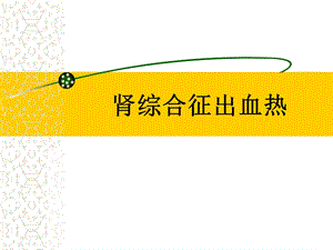 肾综合征出血热1.ppt