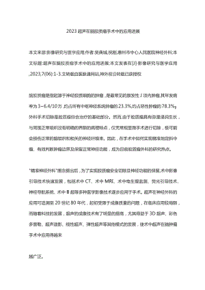 2023超声在脑胶质瘤手术中的应用进展.docx