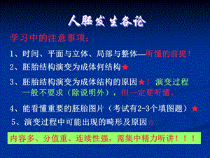 第八讲心血管发生.ppt