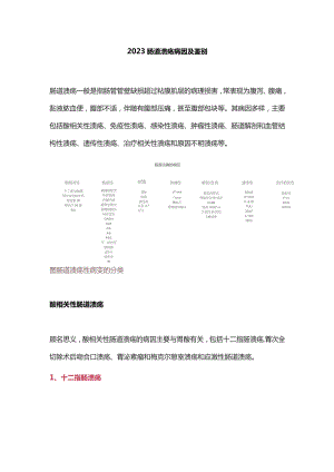 2023肠道溃疡病因及鉴别.docx