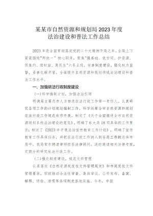 某某市自然资源和规划局2023年度法治建设和普法工作总结.docx