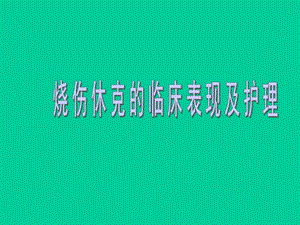 烧伤休克期的护理.ppt.ppt