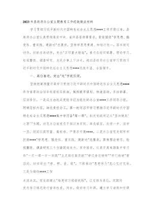 2023年县政府办公室主题教育工作经验做法材料.docx