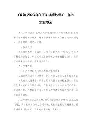 XX镇2023年关于加强耕地保护工作的实施方案.docx