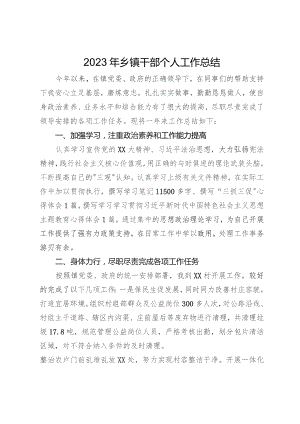 2023年乡镇干部个人工作总结.docx