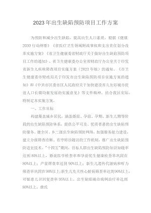 2023年出生缺陷预防项目工作方案.docx