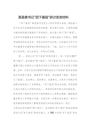 某县委书记“四下基层”研讨发言材料.docx