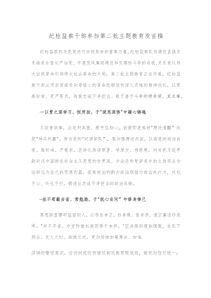 纪检监察干部参加第二批主题教育发言稿.docx