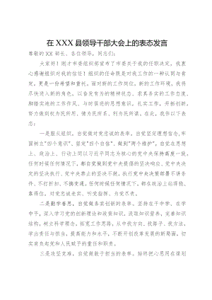 在县领导干部任职大会上的表态发言.docx