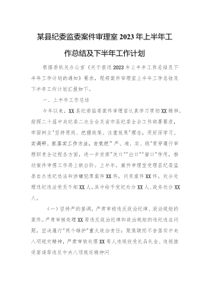 某县纪委监委案件审理室2023年上半年工作总结及下半年工作计划.docx