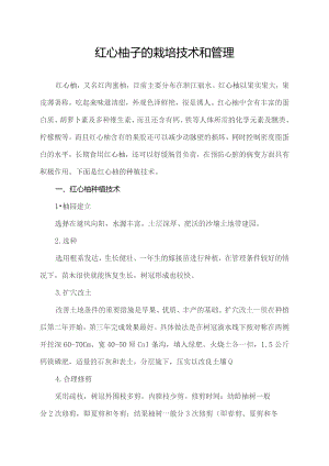 红心柚子的栽培技术和管理.docx