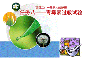 青霉素过敏试验.ppt