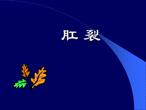 肛裂【PPT精品】 .ppt