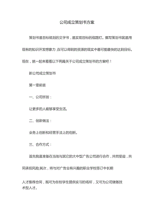 公司成立策划书方案.docx