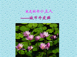 我是社会小主人城市牛皮癣调查.ppt