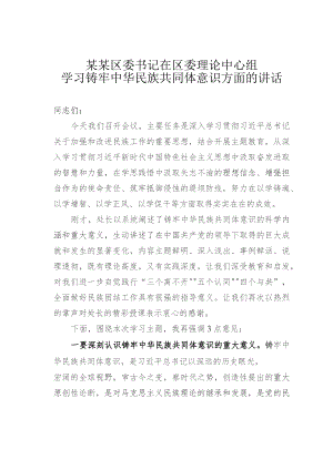 某某区委书记在区委理论中心组学习铸牢中华民族共同体意识方面的讲话.docx