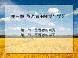 第3章 旅游者的知觉与学习.ppt
