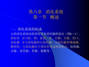 组织学和解剖学..消化系统.ppt