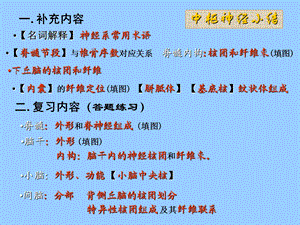 (解剖神经系统).ppt