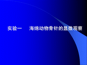 药用动物学实验海绵动物骨针的显微观察.ppt