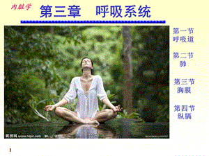 系统解剖学呼吸系统PPT.ppt.ppt