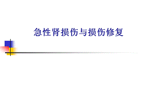 急性肾损伤.ppt.ppt