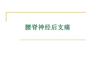 腰脊神经后支痛.ppt