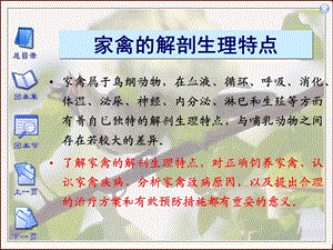 家禽的早期胚胎发育.ppt