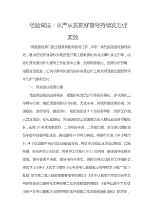 经验做法：从严从实抓好督导 持续发力促实效.docx