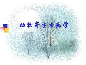 动物寄生虫病学.ppt.ppt