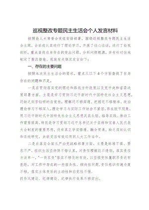 县人大常委会委员巡视整改专题民主生活会个人发言材料.docx