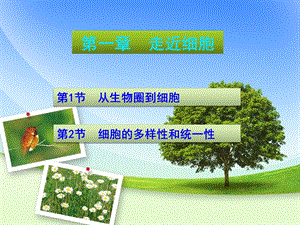 原核细胞和真核细胞.ppt