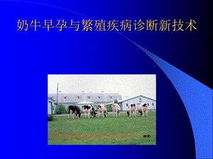 奶牛B超奶牛早孕与繁殖疾病诊断新技术.ppt