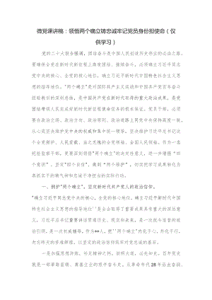 党课讲稿：领悟两个确立铸忠诚牢记党员身份担使命.docx
