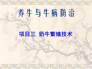 奶牛繁殖技术.ppt