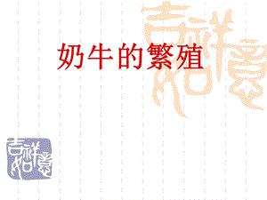 奶牛的繁殖.ppt