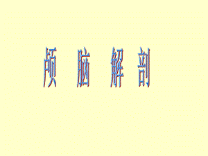颅脑解剖.ppt.ppt