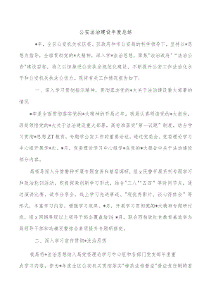 公安法治建设年度总结.docx